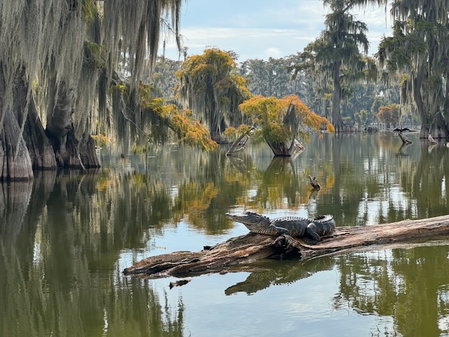 Lake Martin inspiration photo